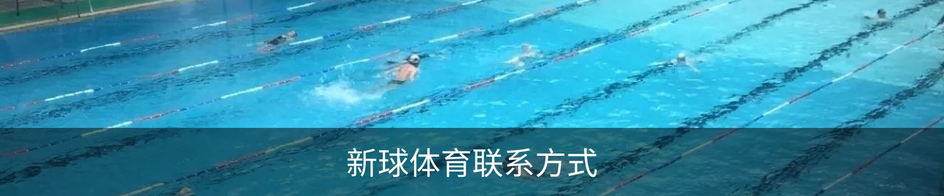新球体育联系方式